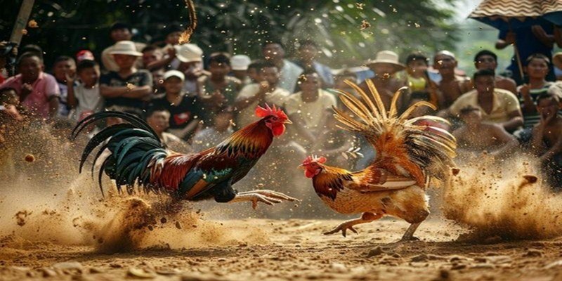 Cần có sự kỹ lưỡng, thận trọng để đưa ra quyết định chính xác